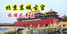 帅女日美女的逼中国北京-东城古宫旅游风景区